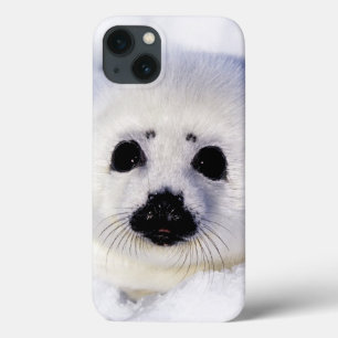 Etui iPhone Case-Mate Golfe de glace de bébé phoque d'harpe de St