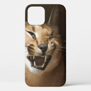 Case-Mate iPhone Case Goofy Lynx