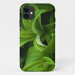 Coque iPhone 11 Gouttes de rosée sur un Helabore faux