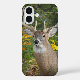 Coques iPhone 16 Grand Buck dans les bois
