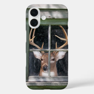 Coques iPhone 16 grand buck dans une fenêtre rustique