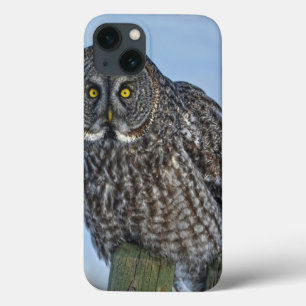 iPhone 13 Case Grand Chouette gris sur une clôture Photo de la fa