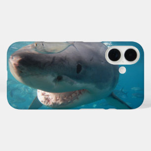 Coques iPhone 16 Grand requin blanc