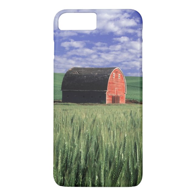 Coques Case-Mate iPhone Grange rouge dans un champ de blé et d'orge à Whit (Dos)