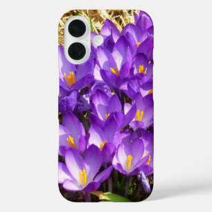 Coques iPhone 16 Grappe de crocus violets Floralaison printanière