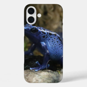 Coques iPhone 16 Plus Grenouille à flèches de poison bleu