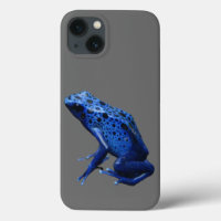 Grenouille à tarte à poison bleu