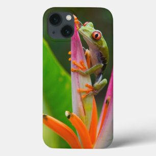 Etui iPhone 13 Grenouille aux yeux rouges, Costa Rica