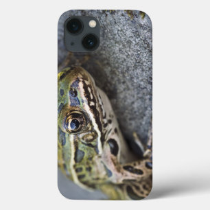 Case-Mate iPhone Case Grenouille léopard du nord, Île transparente,