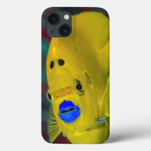 Etui iPhone Case-Mate Gros plan de poisson-ange