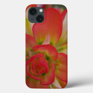 Etui iPhone Case-Mate Gros plan sur la brosse à peindre indienne près de