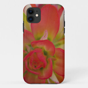 Coques Pour iPhone Gros plan sur la brosse peinte indienne près de Ga