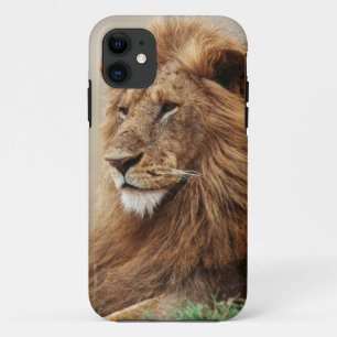 Coque iPhone 11 Gros plan sur un lion mâle