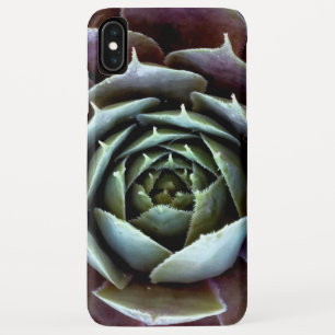 Case-Mate iPhone Case Gros plan sur une succulente violette