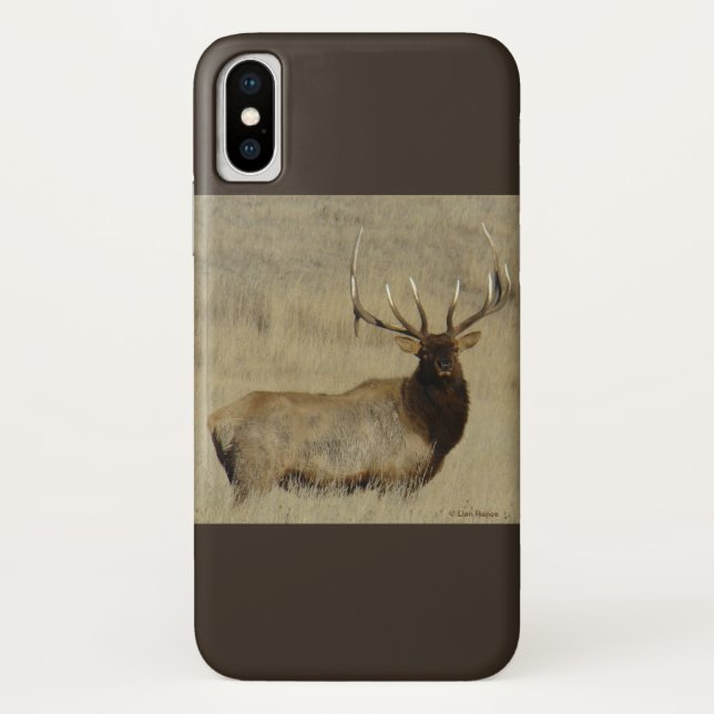 Coques Case-Mate iPhone Grosse taureau d'Elk E30 (Dos)