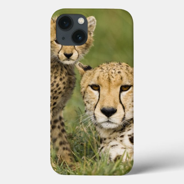 Coques Case-Mate iPhone Guépard, jubatus d'Acinonyx, avec l'petit animal (Verso)