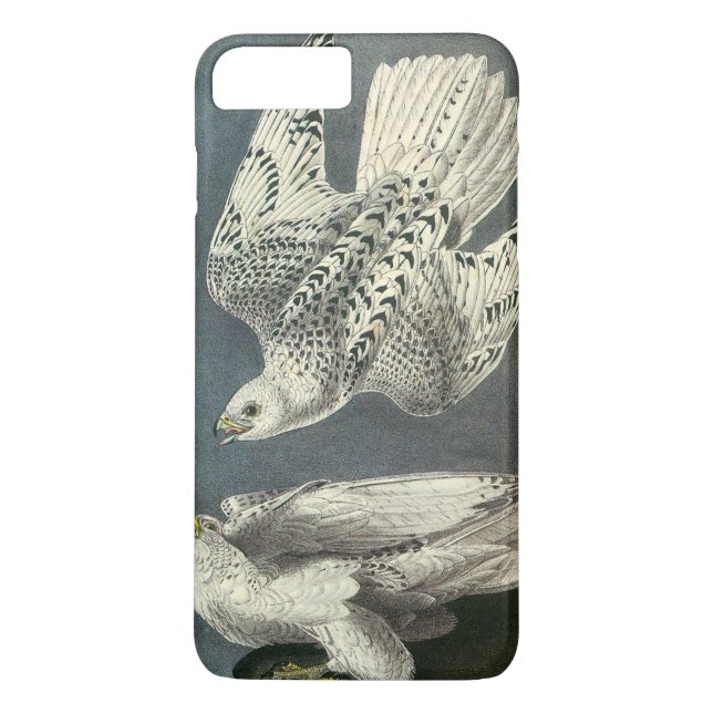 Coques Case-Mate iPhone Gyrfalcon par Audubon (Dos)