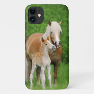 Case-Mate iPhone Case Haflinger Horse mignon Bébé Foal Baiser Mum Pony