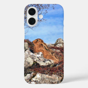 COQUES iPhone 16 HARE