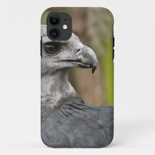 Etui iPhone Case-Mate Harpy Eagle 1.JPG