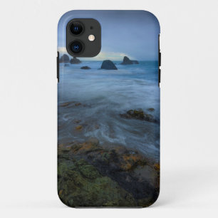 Coque iPhone 11 Harris échouent le parc d'état   Orégon