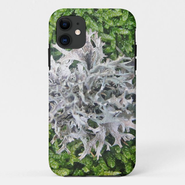 Coques Case-Mate iPhone Hellgraue Flechte auf hübschem Moos (Dos)