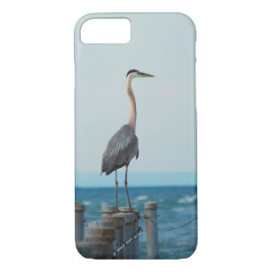 Case-Mate iPhone Case Héron Bleu Regardant Dans Le Bleu
