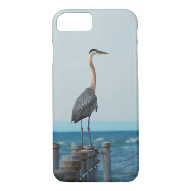 Coques Case-Mate iPhone Héron Bleu Regardant Dans Le Bleu (Dos)