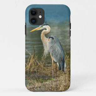 Case-Mate iPhone Case Héron de grand bleu au lac