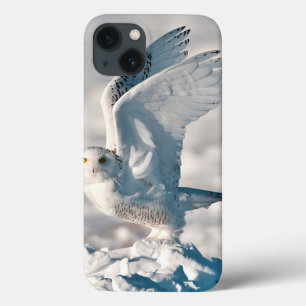 iPhone 13 Case Hibou blanc décollant de la neige