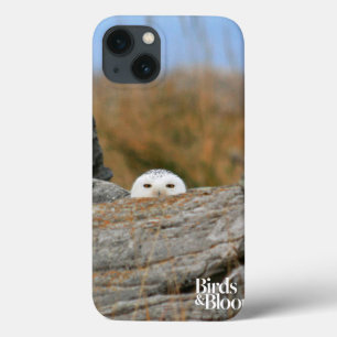 Case-Mate iPhone Case Hibou de Milou
