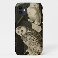 Hibou de Milou