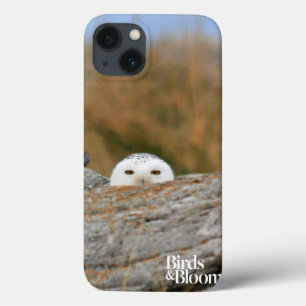 iPhone 13 Case Hibou de Milou