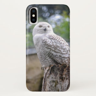 Coque iPhone X Hibou des neiges