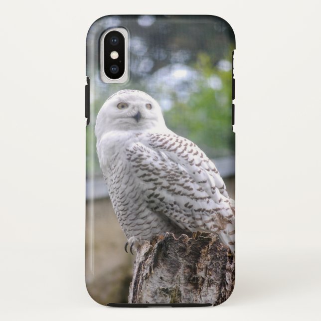 Coques Case-Mate iPhone Hibou des neiges... (Dos)