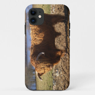 Etui iPhone Case-Mate Highland Cattle Bull, Écosse