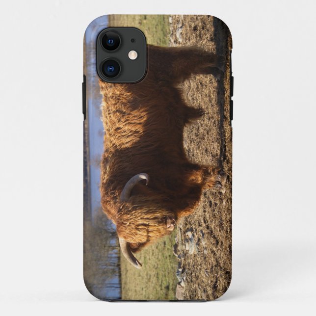 Coques Case-Mate iPhone Highland Cattle Bull, Écosse (Dos)
