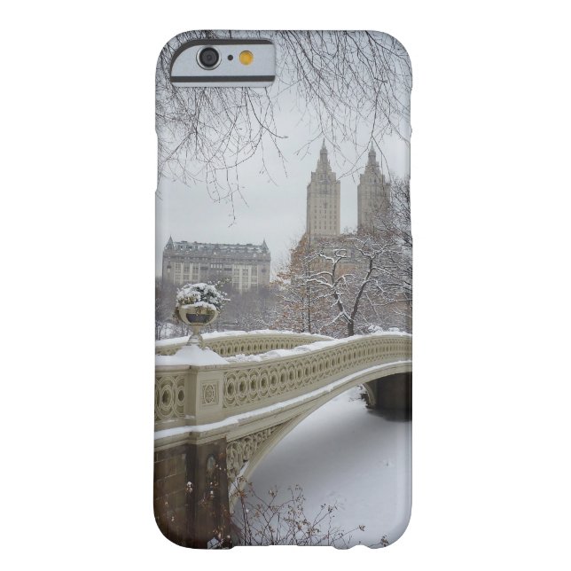 Coques Case-Mate iPhone Hiver - Central Park - New York City (Dos)