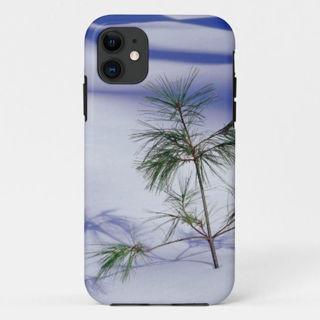 Coques Case-Mate iPhone hiver-scènes-108 (Dos)