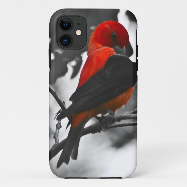 Coques Case-Mate iPhone Homme Scarlet Tanager (Dos)