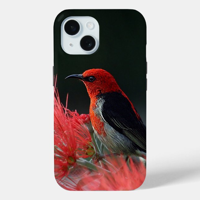 Coques Case-Mate iPhone Honneur de Scarlet Oiseau exotique (Verso)