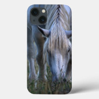 Horse blanche