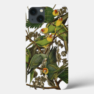 iPhone 13 Case Illustration Audubon Carolina Parrot Bird