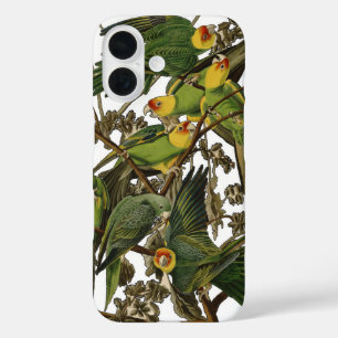 Coques iPhone 16 Illustration Audubon Carolina Parrot Bird