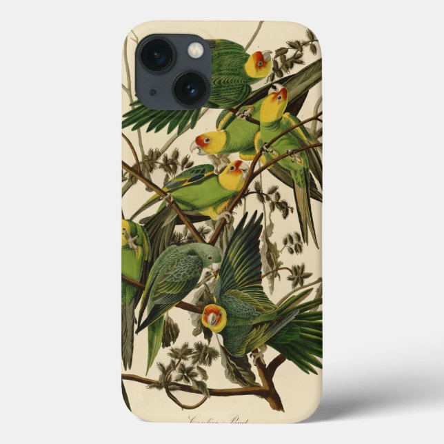 Coques Case-Mate iPhone Illustration Audubon Carolina Parrot Bird (Verso)