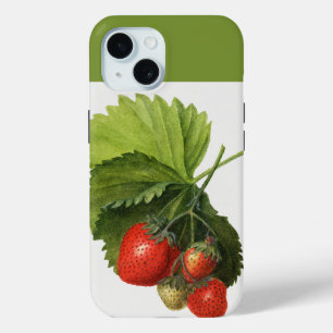 Coque Pour iPhone 15 Illustration de la bande vintage de fraises rouges