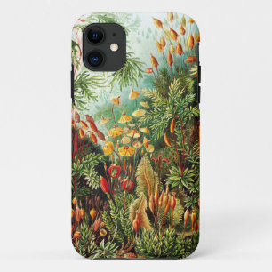 Case-Mate iPhone Case Illustration de Muscinae par Ernst Haeckel