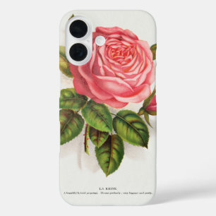 Coques iPhone 16 Illustration Florale Rose Rose Antique Cottagecore