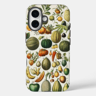 Coques iPhone 16 Illustration scientifique végétale des fruits