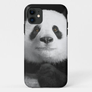 Coque Case-Mate Pour iPhone Image Panda pour iPhone-5-5S-Barely-There